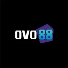 Panduan Lengkap Aplikasi ovo88 untuk Pemula dan ollo4d: Rangkuman Brand yang Banyak Dicari